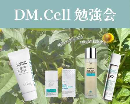 DM.Cell勉強会