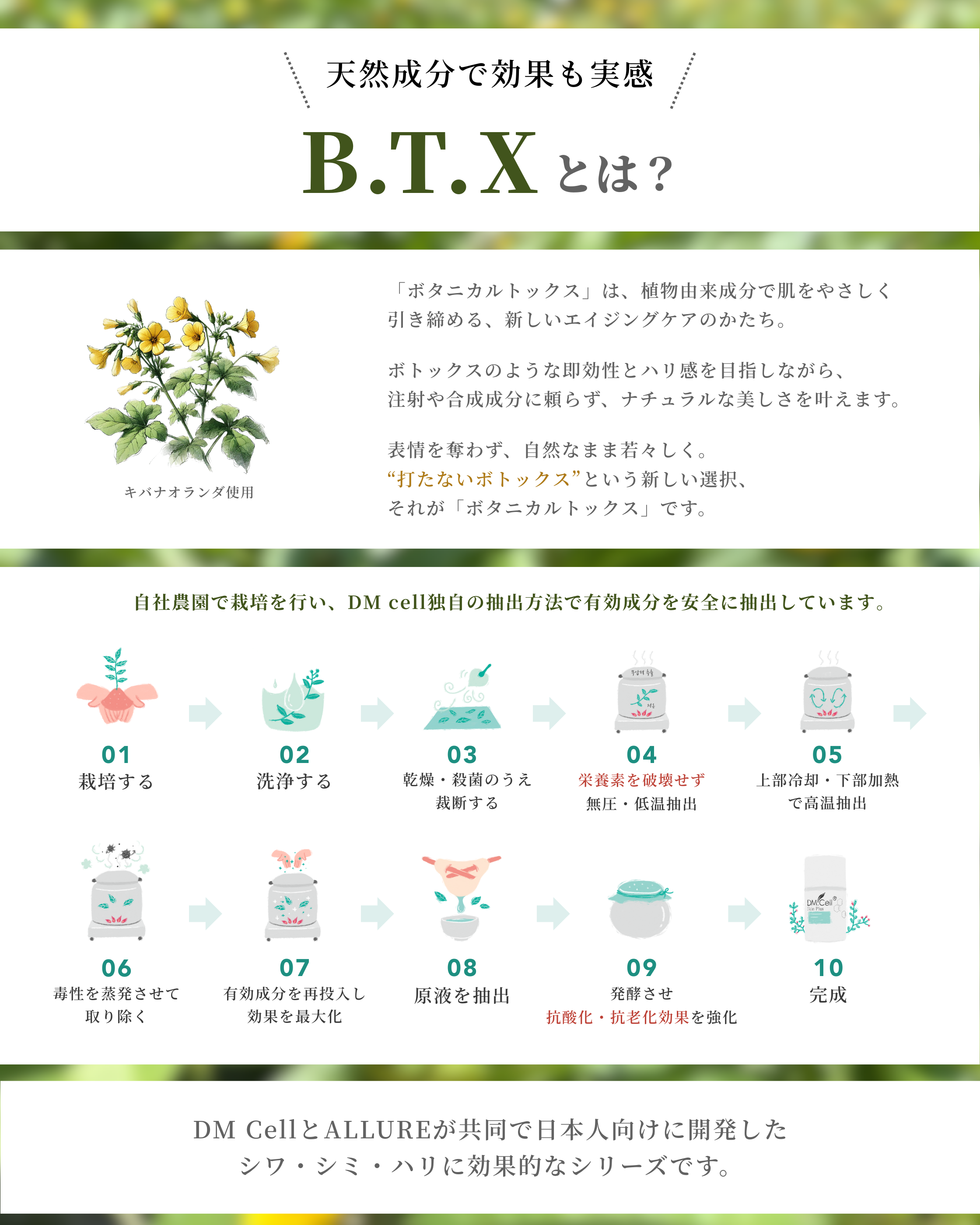 B.T.Xとは？〜“打たないボトックス”という新しい選択